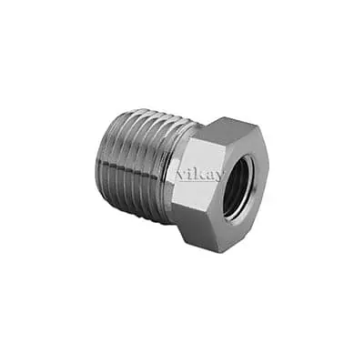 Reducing Bushing (3/8 Inch x 18) x (1/8 Inch x 27) - SS 316 Instrumentation Pipe Fittings - Master