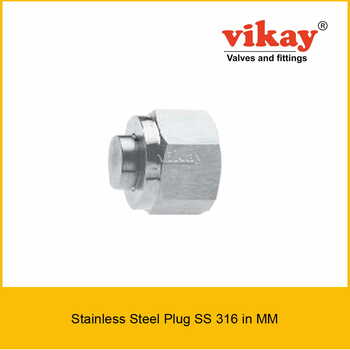 Plug SS 316 x mm